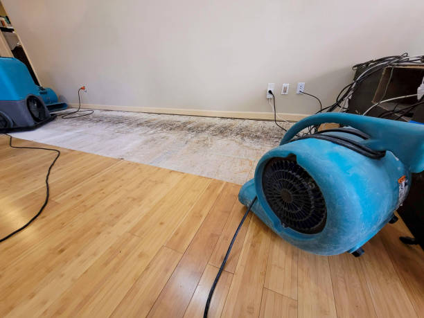 Professional Flood Damage Cleanup technician working in Erlanger, KY